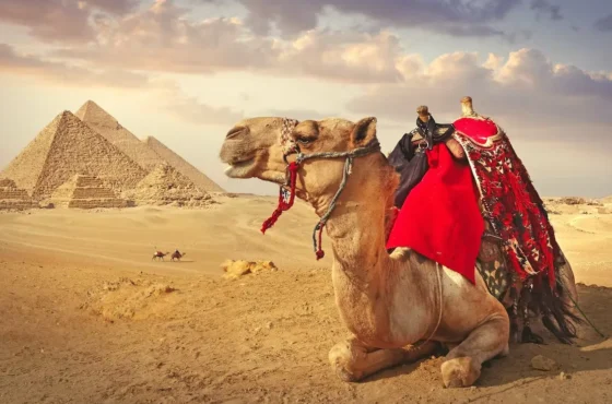 Private Overday Cairo Excursion from Hurghada by Car
