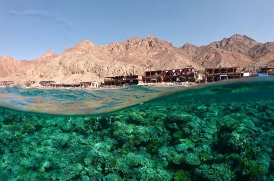 Full-Day Shared Tour to Dahab