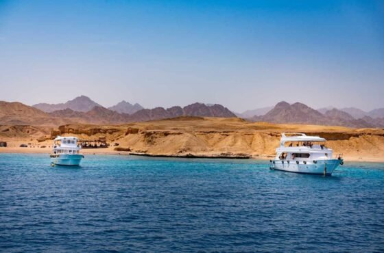 Full-Day Boat Excursion to Ras Mohammed National Park