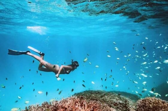 Day Excursion for Snorkeling at Tiran Island